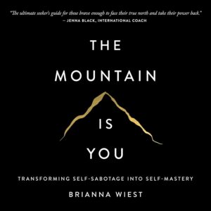 The Mountain Is You Summary