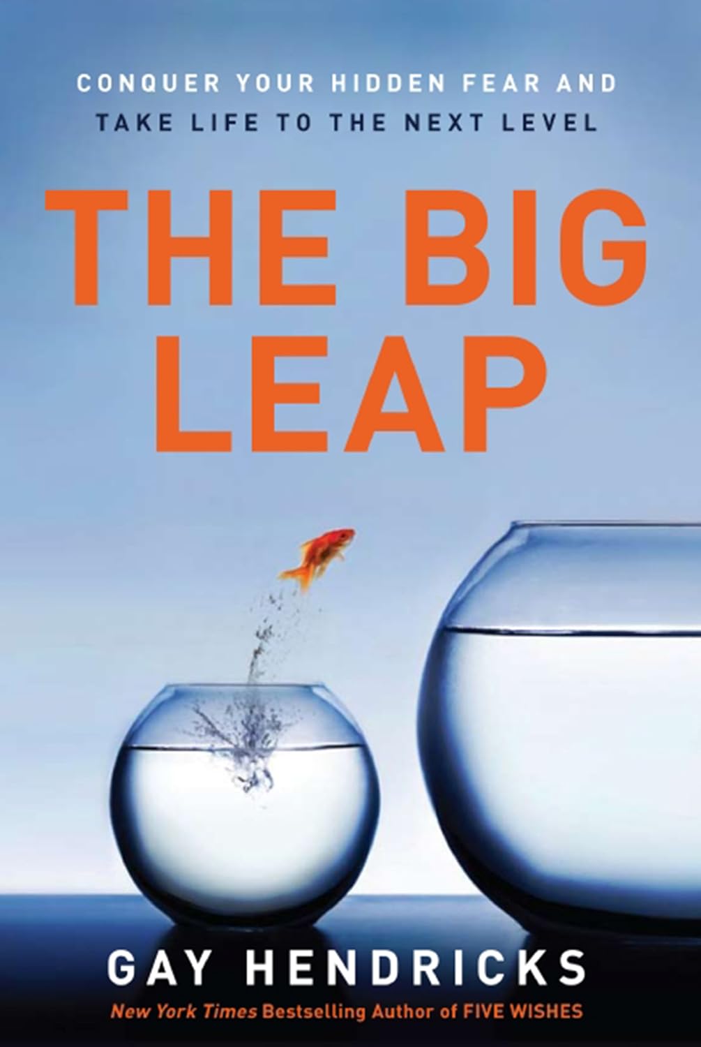 The Big Leap Summary