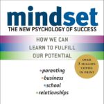 Mindset Summary