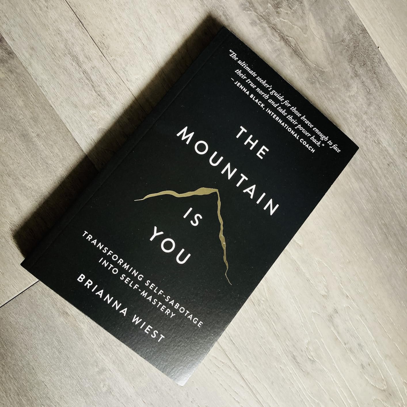 The Mountain Is You Summary