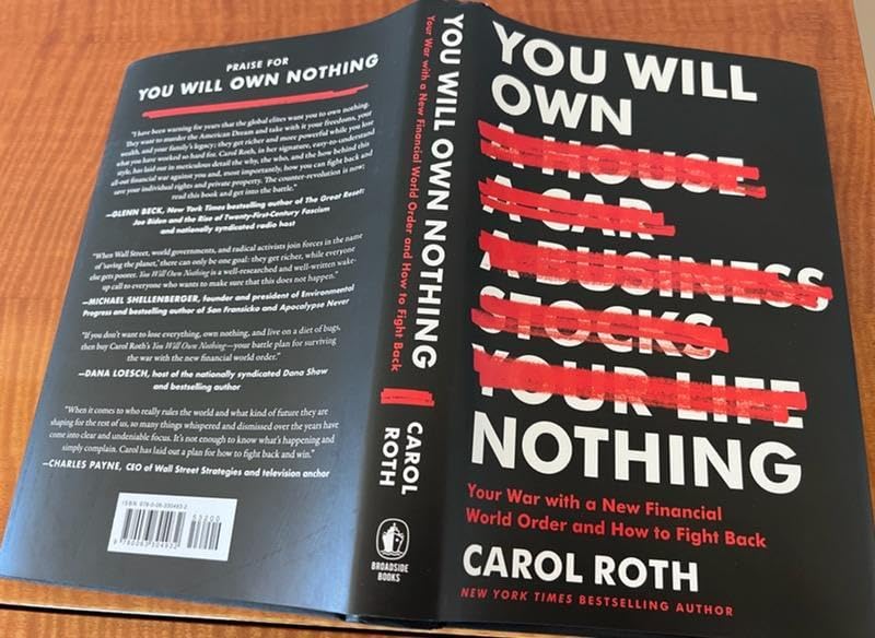You Will Own Nothing summary – Key lessons from Carol Roth’s eye-opening book on ownership, freedom, and financial independence.
